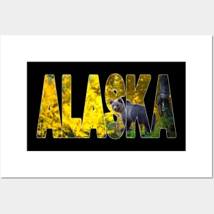 ALASKA - Brown Bear on the Hunt USA Posters and Art